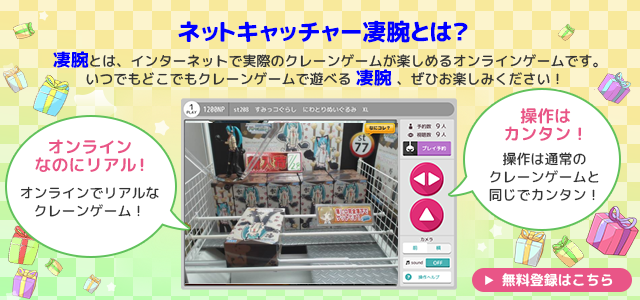 ネットキャッチャー(凄腕)とは？